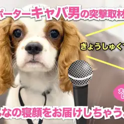 【 5/22寝顔特集第二弾 】キャバりんがみんなの寝顔をお届けしちゃうよ！