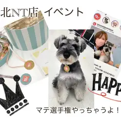 【 イベント情報  】日頃の成果でウチの子自慢をしちゃいましょう！