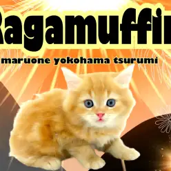 【 ラガマフィン 】幼いながらに王者の風格をもつベビーライオンキング！