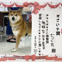 【 横浜大倉山店の親ばか自慢大会 】みんなの得意技の様子をご報告！！