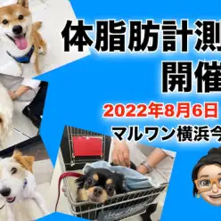 【 今宿店イベント情報 】8/6（土）ワンちゃんの体脂肪計測会のお知らせ！