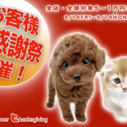 【 お客様大感謝祭開催 】マルワンからBIGなプレゼント企画スタート！