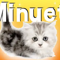 【 ミヌエット 】銀色ロングコートの男の子！カンガルー立ちを披露！