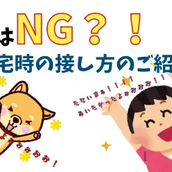 【 帰宅時の接し方 】わんちゃんとの生活で実はよくやってしまいがちなNG行動3選