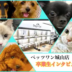 【 卒業生インタビュー 】城山店卒業生のご家族にお迎え後のご様子を聞きました。