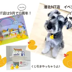 【 イベント情報  】マルワンNT店9月で11年目スタート