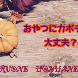 【 ホンハネ豆知識 】もうすぐハロウィン!おやつににカボチャあげてもいいの?!