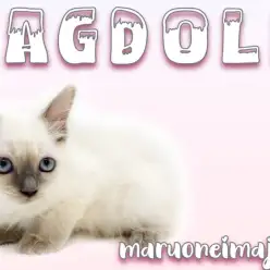 【 ラグドール 】ブルーポイントが美しい温厚で甘えん坊な美猫！可愛い動画つき！