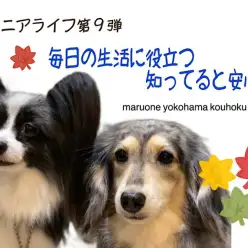 【 お役立て情報 】シニアライフ第9弾！毎日の生活に役立つ知ってると安心
