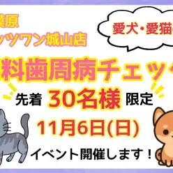 【 イベント 】11月6日（日曜日）に歯周病予防イベント開催！