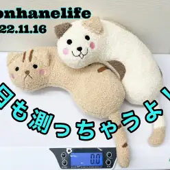 【 ホンハネライフ 】今日も測っちゃうよ！！ホンハネニャンコの巻