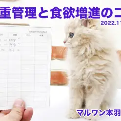 【 体重管理の重要性 】毎日行う体重管理野重要性と食欲増進のコツ