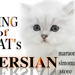 【 ペルシャ 】極上の癒しをお届け！美しいドールフェイスは都内No.1！？