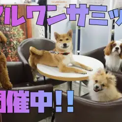 【マルワンサミット】だれがリーダーになる？のミーティング！