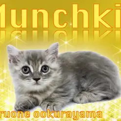 【 マンチカン 】爆毛ブルーコートのイケニャン短足王子様！