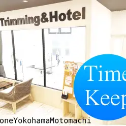 【 元町トリミング 】マルワン横浜元町店タイムキープのご案内♪クーポン付き
