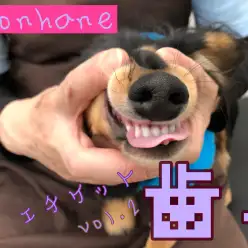 【 マルワン本羽田店トレーニング 】歯を大切に！ホンハネエチケットvol.2