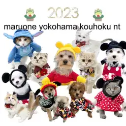 【 お知らせ 】2023今年も元気にスタート‼︎