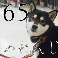 【大倉山365チャレンジ】たくさんの笑顔に癒やされた12月の結果発表！