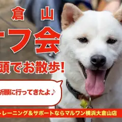 【 大倉山店オフ会報告 】わんちゃん総勢14頭で健康祈願のお参り＆公園で遊ぼう！