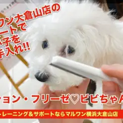 【 大倉山店のサポート 】初めてでも安心！我が子をもっと可愛くお手入れ！