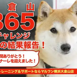 【 大倉山365チャレンジ 】過去最高頭数が遊びに来た1月の結果報告！！