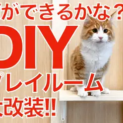 【 DIY 】久しぶりのDIY番長！プレイルーム大改装！！！何ができるかな？？