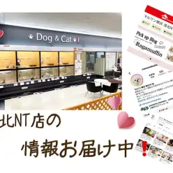 【 店舗情報 】マルワン横浜 港北NT店の配信情報