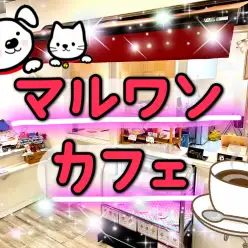【 商品レビュー 】わんちゃん猫ちゃんの特別な日に♡マルワンペットカフェ！