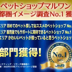 【 イメージ調査 】2023年4月首都圏エリアリサーチにおいてマルワンが3部門のNo.1を獲得！