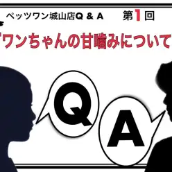 【 ペッツワン城山店Q＆A 】第1回『ワンちゃんの甘噛みについて』