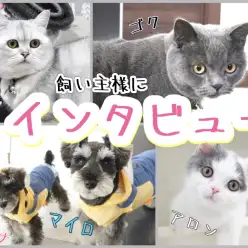 【 ユーザーレビュー 】東川口店ユーザーインタビュー！多頭飼いのプロにお迎え後の生活を聞いてみた