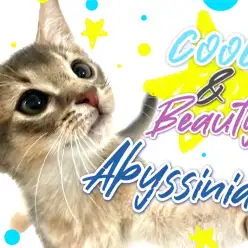 【 アビシニアン 】美しきブルーの肉体美！その秘密はティッキングにあり？！