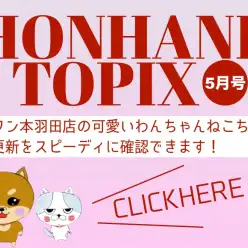 【 HONHANE トピックス5月版 】マルワン本羽田店の5月の情報配信を確認！
