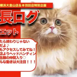 【 おミヌちゃんの成長アルバム 】コミカルな動き炸裂なおミヌちゃんの成長期！