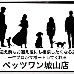 【 ペッツワン城山店紹介 】お迎え前もお迎え後にも相談したくなるペットショップ