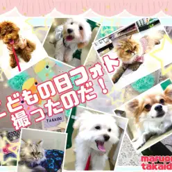 【 こどもの日フォト 】高井戸ベイビーズ記念撮影に行く！の巻