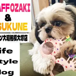 【 スタッフライフブログ 】私の愛犬は相模大塚店の卒業生！共に過ごした1年間！