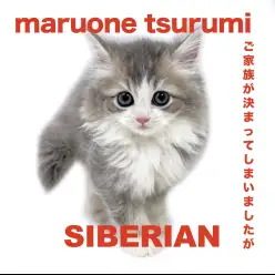 【 サイベリアン 】猫界で唯一のトリプルコートをもつゴージャスさ！！