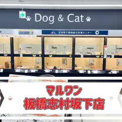 【 マルワン店舗紹介 】ここに来れば何でも揃う！オリンピック志村坂下店をマルっとご紹介！