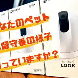 【 商品レビュー 】愛犬、愛猫のお留守番の様子が気になるあなたに！