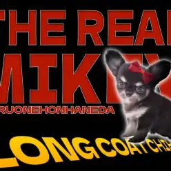 【 チワワ 】小さめボディが愛らしい最高のブラック系チワワ!