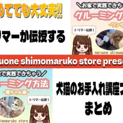 【 お手入れレクチャー 】これで安心！トリマー伝授！犬猫の手入れ方法ブログまとめ