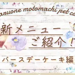 【 商品レビュー 】元町ペットカフェメニュー紹介！【 バースデーケーキ編 】