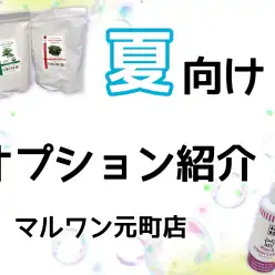 【 元町トリミング 】夏におすすめのオプション紹介！