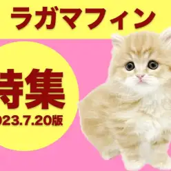 【 ラガマフィン特集 】7/20現在のマルワン全店舗のラガマフィンちゃんをご紹介！！