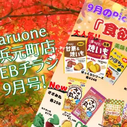 【 商品レビュー 】横浜元町店WEBチラシ9月号！