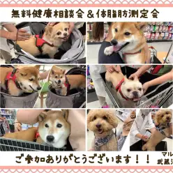 【 無料健康相談会＆体脂肪測定会 】8組のご家族様が集合！