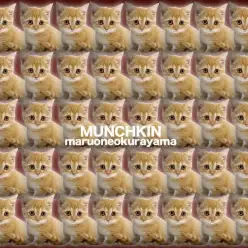 【 マンチカン 】茶トラ！短足！短毛！丸顔！男の子！ヤバいにゃんこがやってきた！