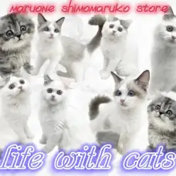 【 お役立て情報 】可愛さ倍増！幸せ無限大！猫の多頭飼いのコツを下丸子店が伝授